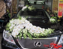 Hoa cưới new 2018