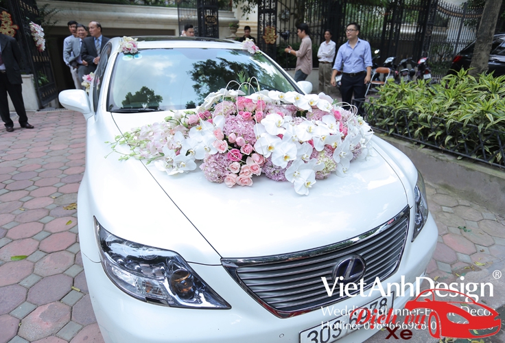 Xe hoa loại: 2.200.000