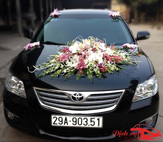 Xe hoa loại: 3.500.000